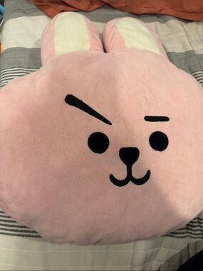 Cooky plush pillow